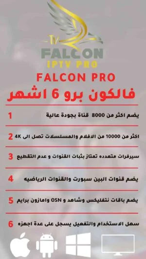 اشتراك فالكون 6 شهور